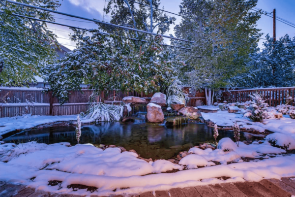 Screen Shot 2020-01-12 at 4.52.11 PM